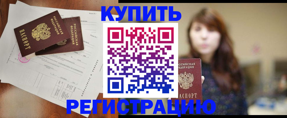 прописка поиск в Светлогорске